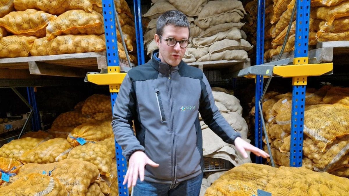 découvrez les variétés de pommes de terre de nazca, un trésor culinaire péruvien. apprenez leurs caractéristiques uniques, leurs avantages nutritionnels et comment les intégrer dans vos recettes pour enrichir votre table avec des saveurs authentiques.
