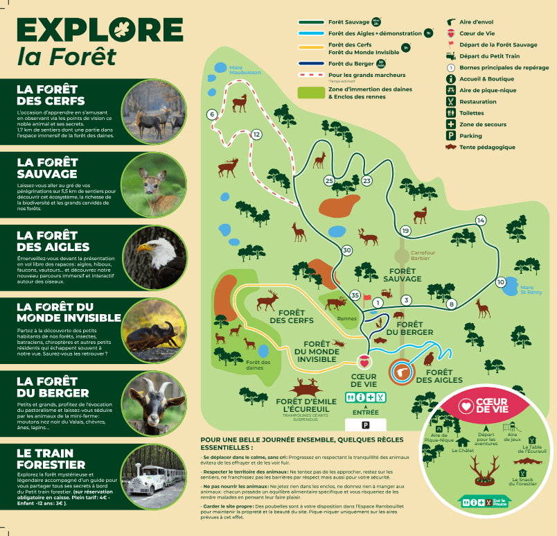 découvrez une aventure familiale palpitante à rambouillet avec une troupe de loups fascinante. plongez dans l'univers sauvage, apprenez tout sur ces animaux majestueux et vivez des moments inoubliables en pleine nature. une expérience unique à partager en famille !